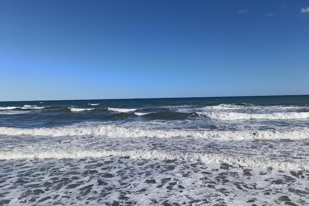 Piso En Playa De Gandia! Apartment Luaran gambar